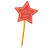 Custom 5" Foam Star Mini
