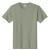 Custom Port & Company Full Color Essential Tee - Stonewashed green