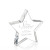 Custom Copeland Star Award - Acrylic - 4.75"