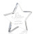 Custom Copeland Star Award - Acrylic - 5.75"