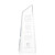 Custom 8" Clear Acrylic Hudson Award