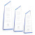 Custom  Full Color Award - Hudson/Blue 8"