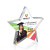 Custom Full Color Award - Copeland Star 5 1/2"