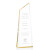 Custom 9" Gold Acrylic Hudson Award