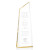 Custom  10" Gold Acrylic Hudson Award