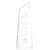 Custom 10" Clear Acrylic Hudson Award
