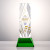 Custom Full Color Award on Base - President/Green 10"