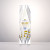 Custom Full Color Award - President 10"