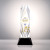 Custom Full Color Award on Base - President/Black 12"