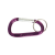 Custom Small Carabiner - Purple 