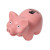 Custom Pig Stress Reliever