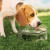 Custom Printed Collapsible Pet Bowl