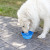 Custom Large Collapsible Silicone Pet Bowl