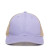 Custom Ladies Fit with Pony Tail Hat - Lavender/Tea stain