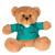 Custom 7" Doctor Or Nurse Plush Bear - Teal 