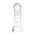 Custom Pickleball Award on Belcroft Clear Base Medium - Etched