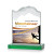 Custom Medium Kilimanjaro Full Color Award with Green Standard Base
