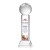 Custom Tennis Ball Full Color Award on Stowe Clear Base Large