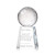 Custom Large Pickleball Award on Celestina Base - Etched