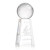 Custom Large Pickleball Award on Novita Base - Etched