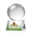 Custom Large Baseball Full Color Award on Robson