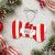 Acrylic Dog Bone Holiday Ornament