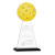 Custom Large Edenwood Pickleball Award Black Base - Etched