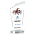 Custom Large Tomkins Full Color Award Clear Base