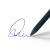 Custom Alix Call of the Wild Ballpoint Pen - Navy Blue In Use 