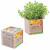 Custom Wooden Cube Blossom Kit - Full Color