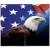 Custom Full-Color Printed Vinyl Weekly Planner - Patriotic 