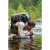 Custom LifeStraw Sip Single (Stainless) - Obsidian In Use