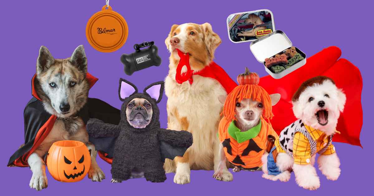 Pets can get Halloween giveaways too!