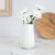 Custom 20 oz Birch Matte Ceramic Vase - Lifestyle View 