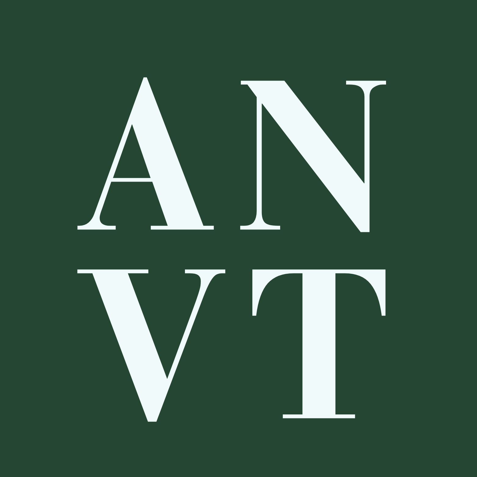 A New View Travel logo