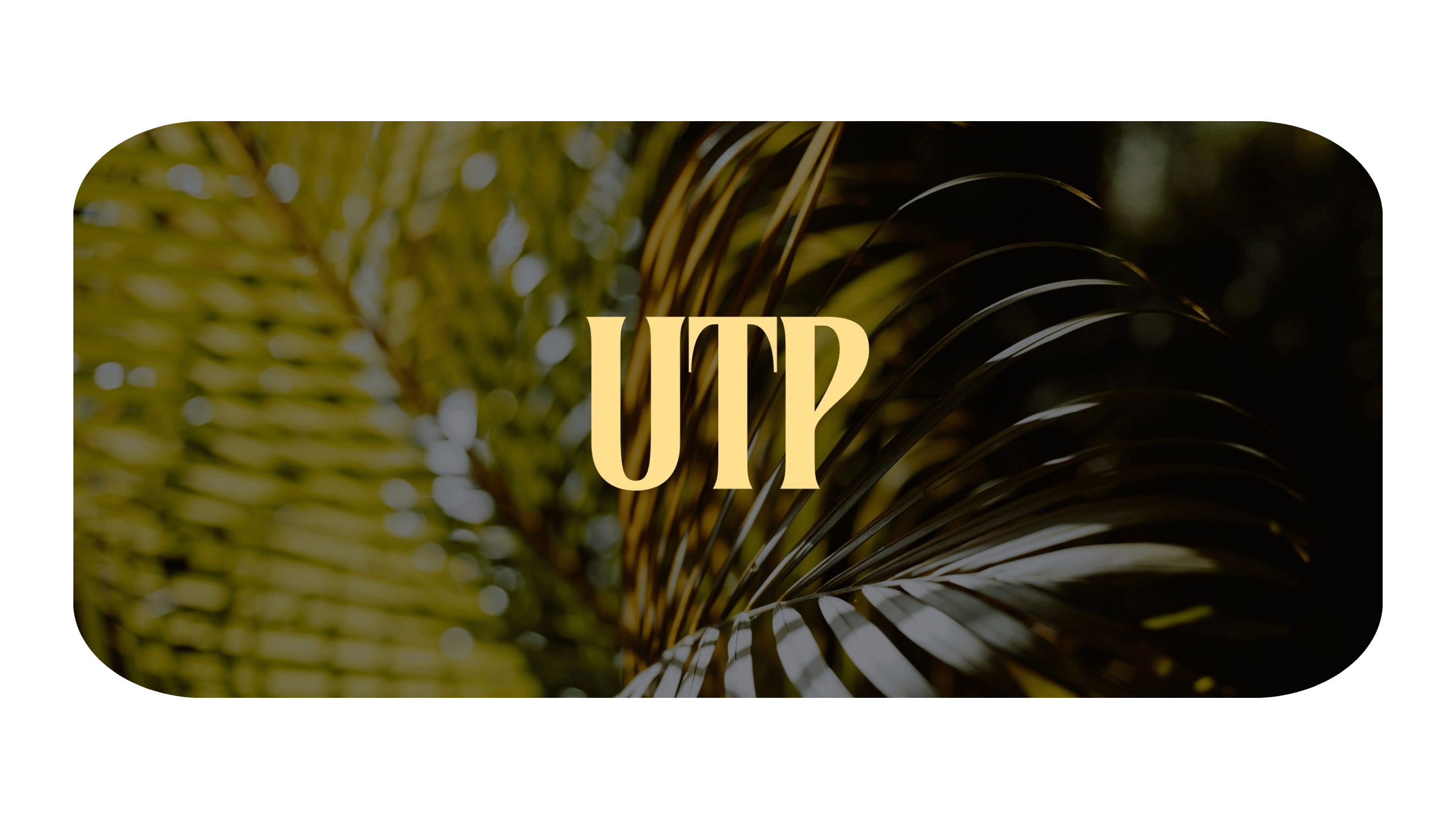 Under the Palm logo