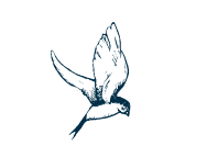 The Travel Presse logo