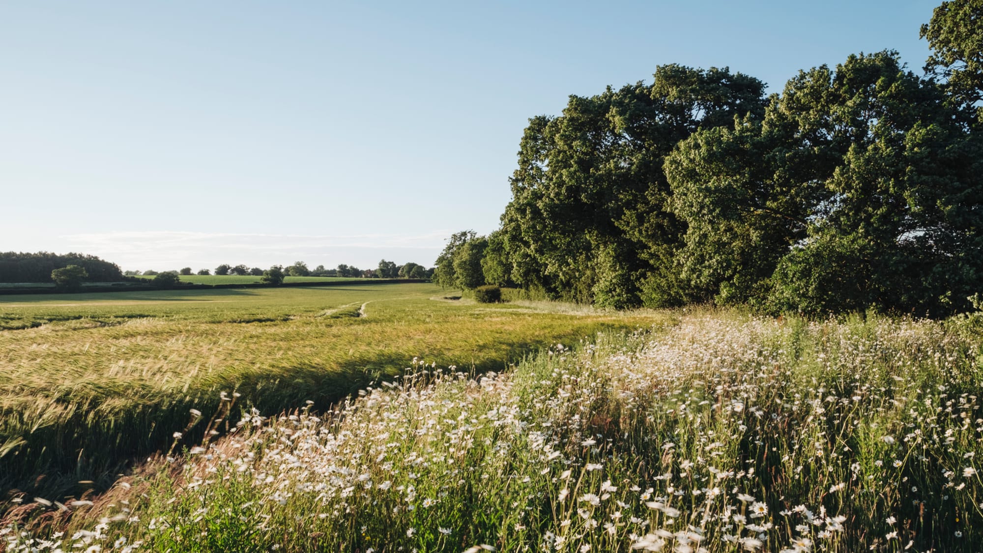 Wildflower Farms, Auberge Collection