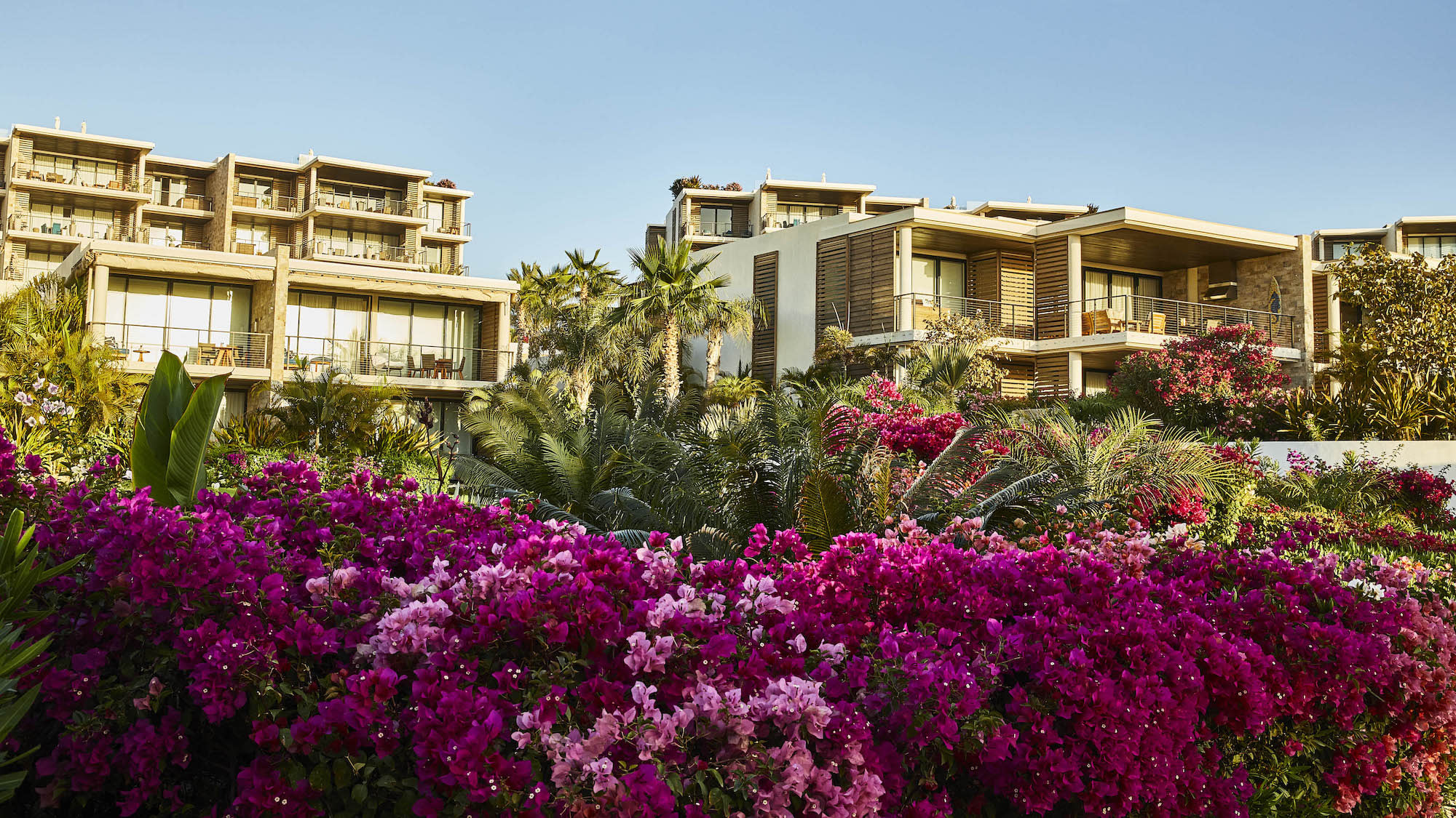 Chileno Bay Resort & Residences, Auberge Collection