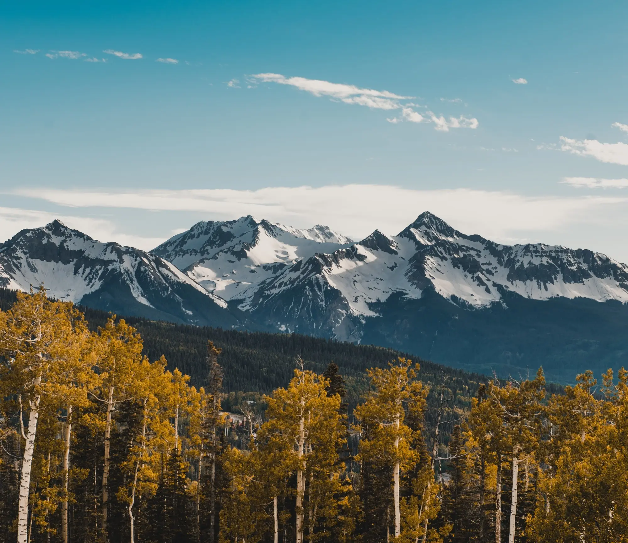 Snow covered mountains with trees in the front.