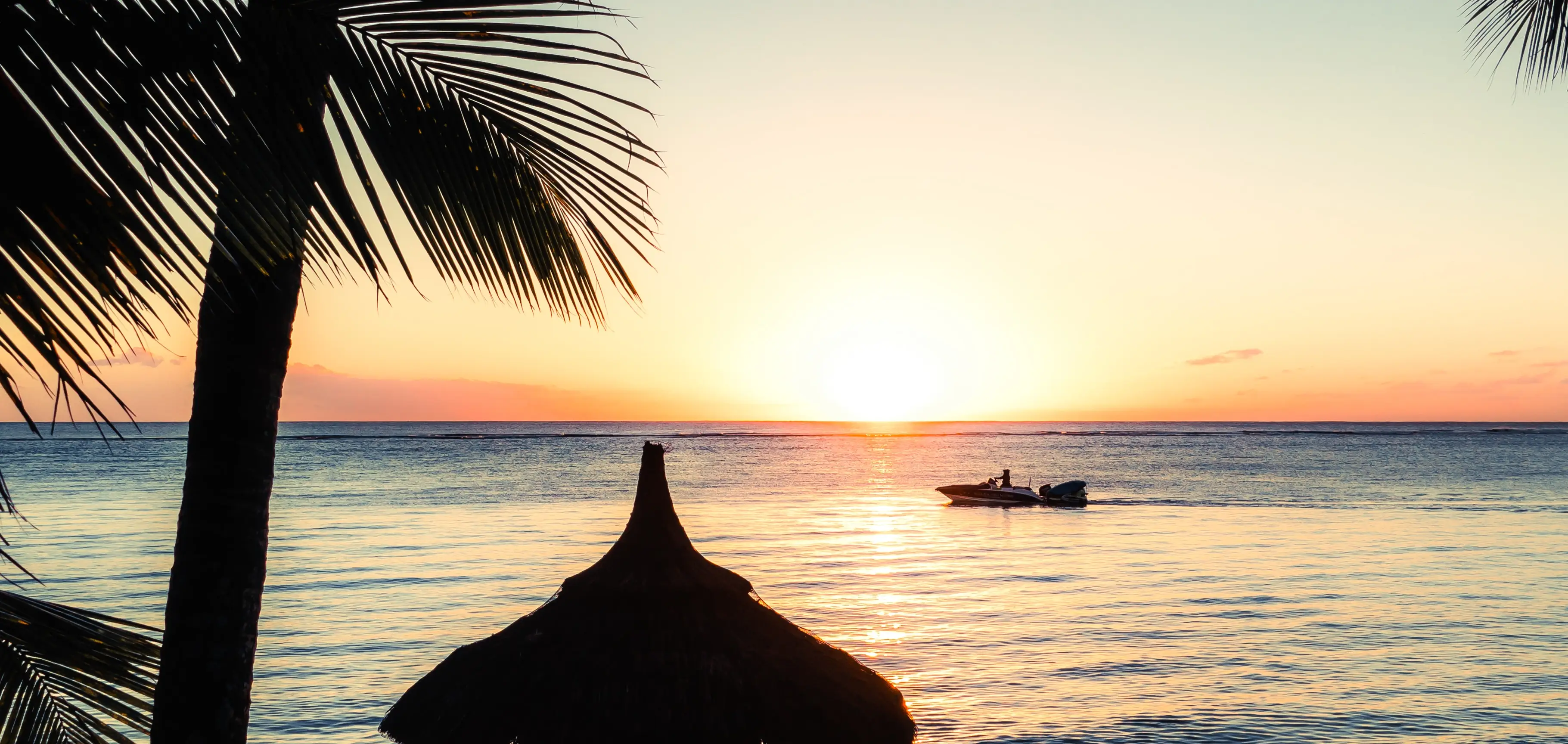Palm tree in the foreground with the ocean and sunset in the background