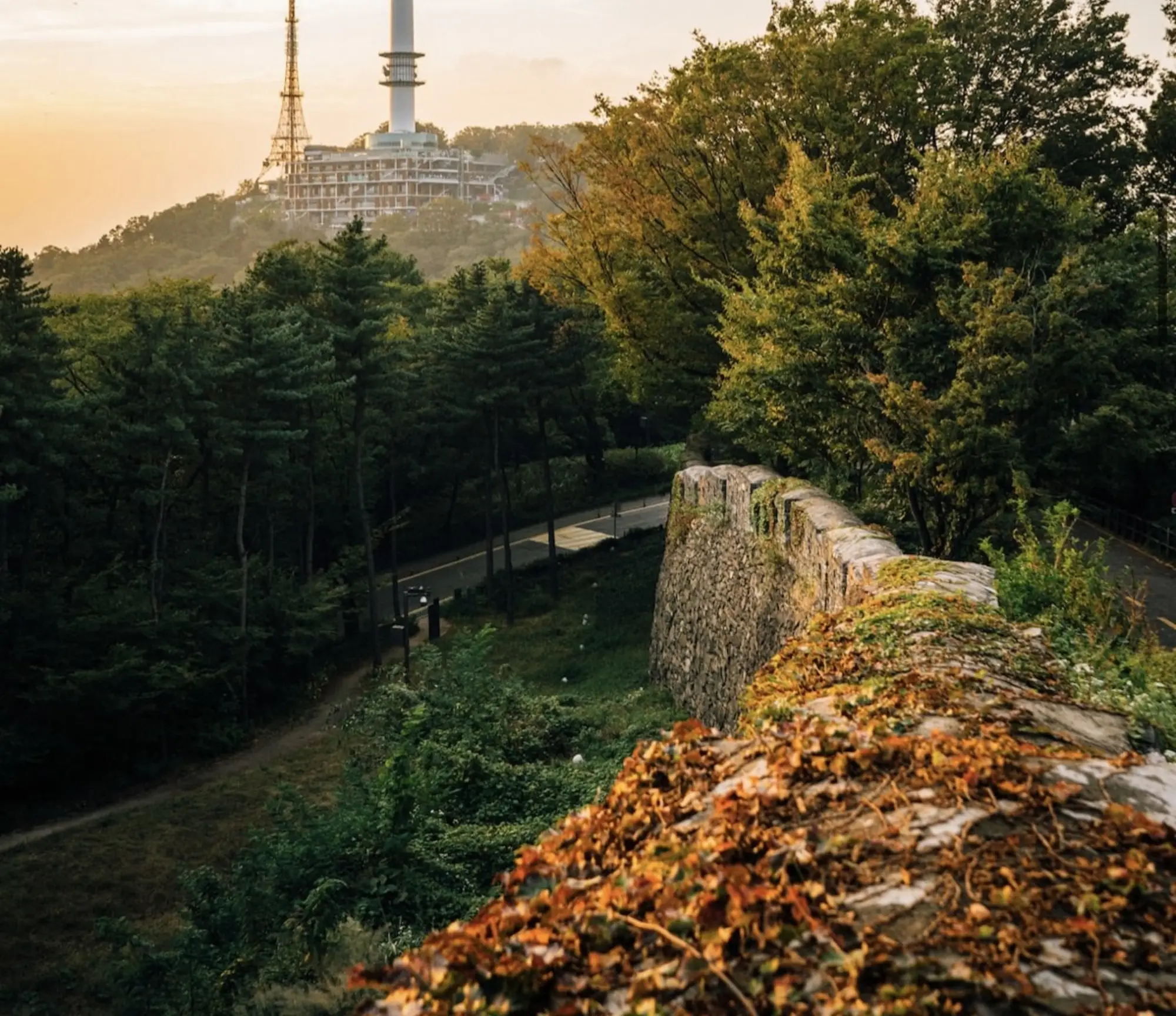 A tall tower rises above a forested area with an old stone wall in the foreground during sunset.