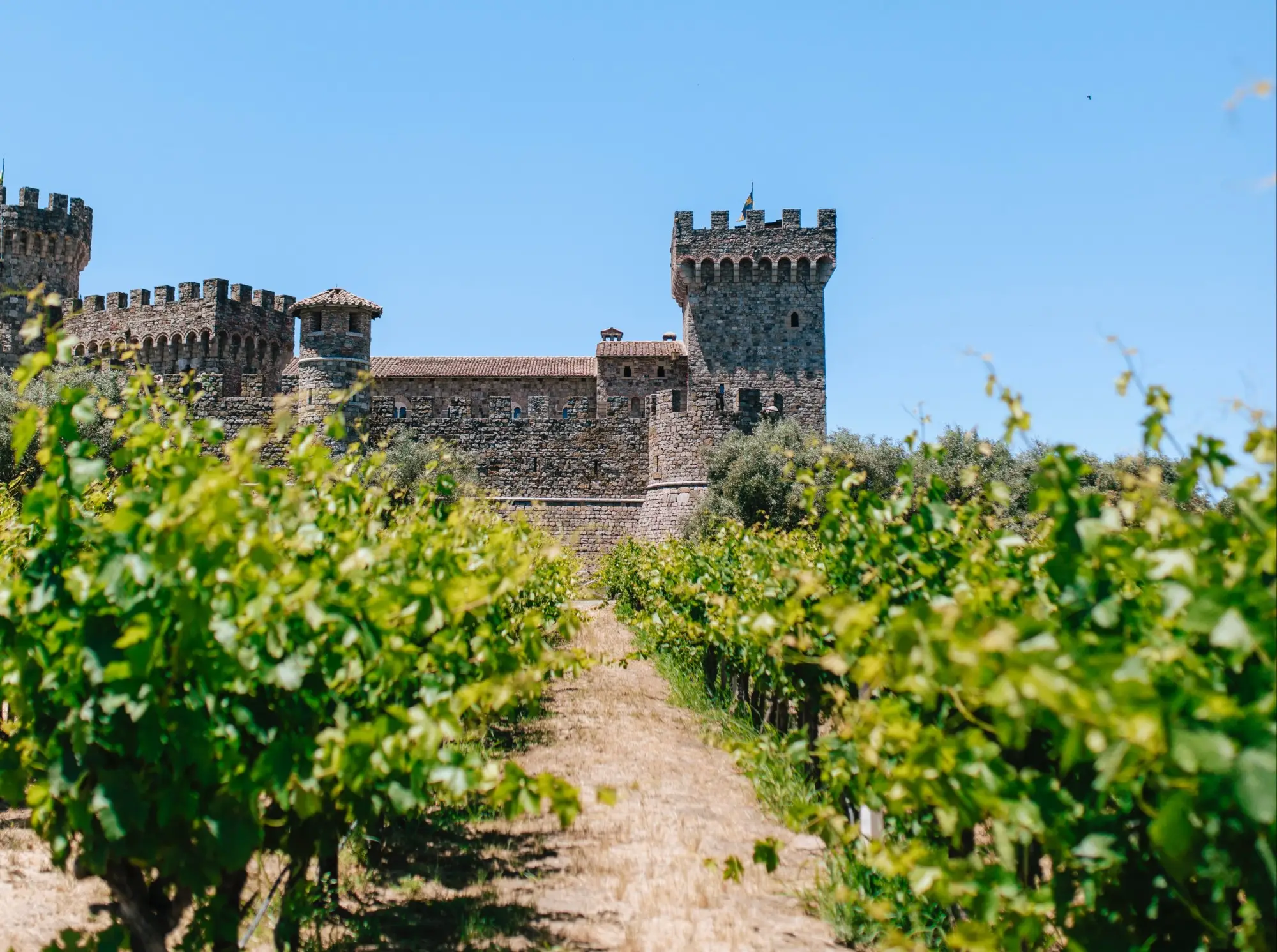 Drink Your Way Through Napa