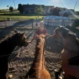 Advisor - Corrie Christophersen