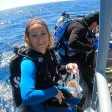 Advisor - Stephanie Sersen