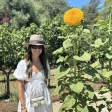 Advisor - Jeanette Casola