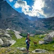 Advisor - Shoshana Orenstein