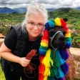 Advisor - Erin McGinnis