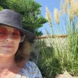 Advisor - Lisa Koester