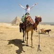 Advisor - Allison Fakhoury